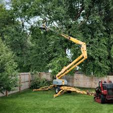 Best Tree Trimming and Pruning  in Kensington, CT